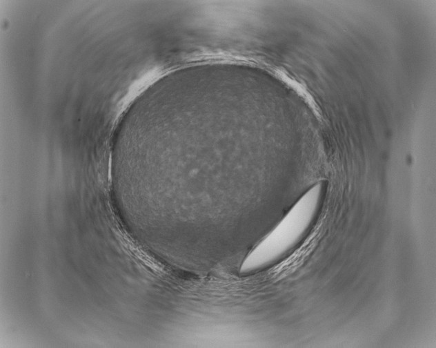 X0000087021365200705071459