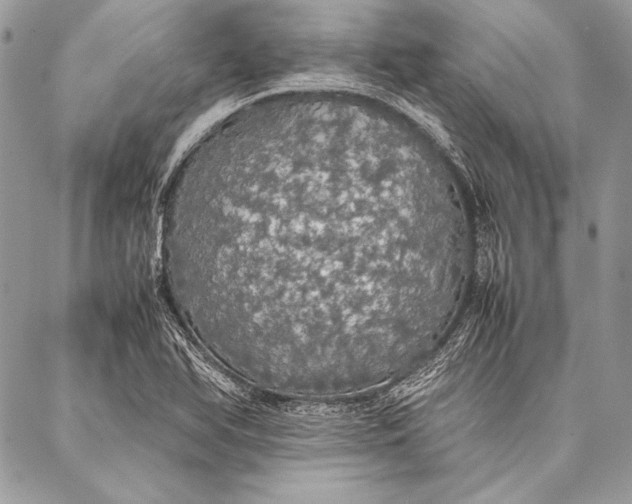 X0000087021366200705071459