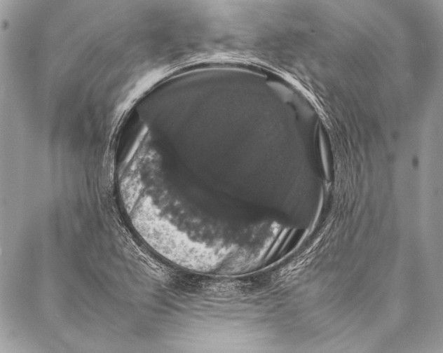 X0000087021367200705071459