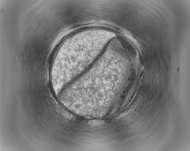 X0000087021368200705071459