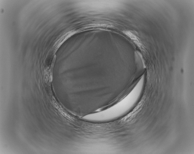 X0000087021369200705071459