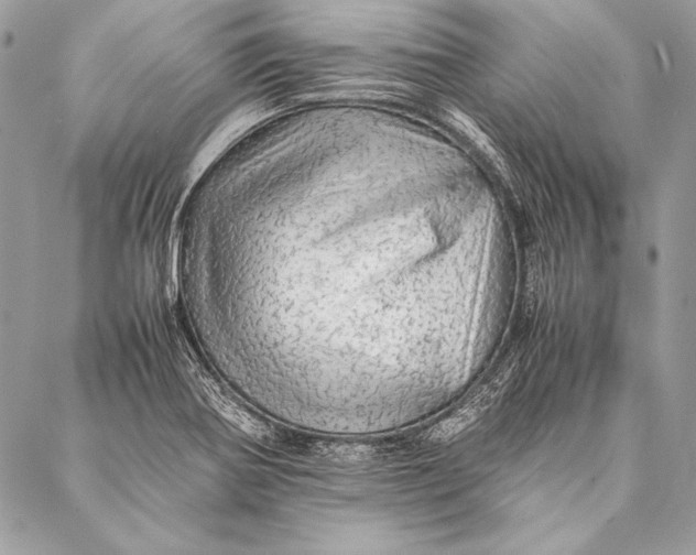 X0000087021370200705071459