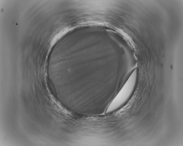 X0000087021373200705071459