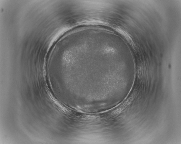 X0000087021374200705071459