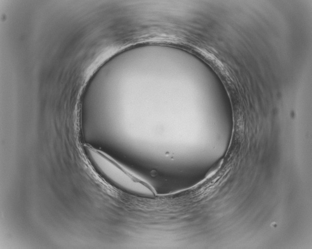 X0000087021375200705071459