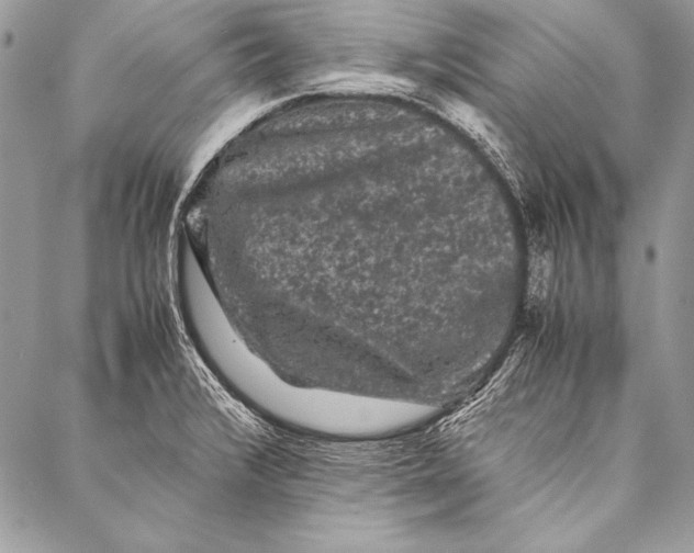 X0000087021376200705071459