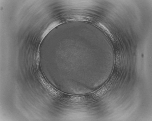 X0000087021378200705071459