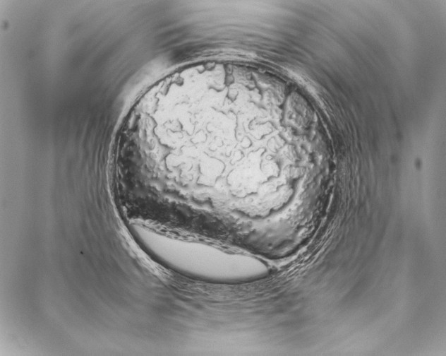 X0000087021379200705071459