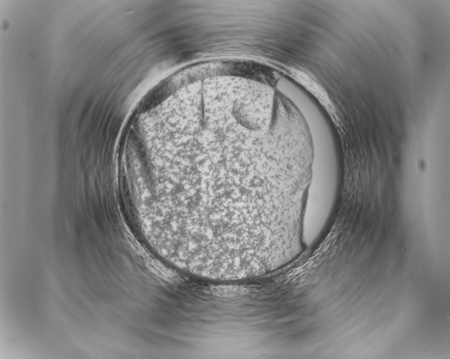 X0000087021380200705071459