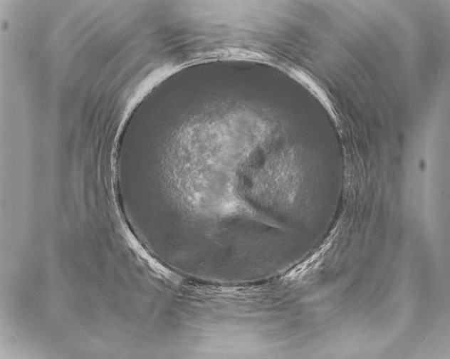 X0000087021381200705071459