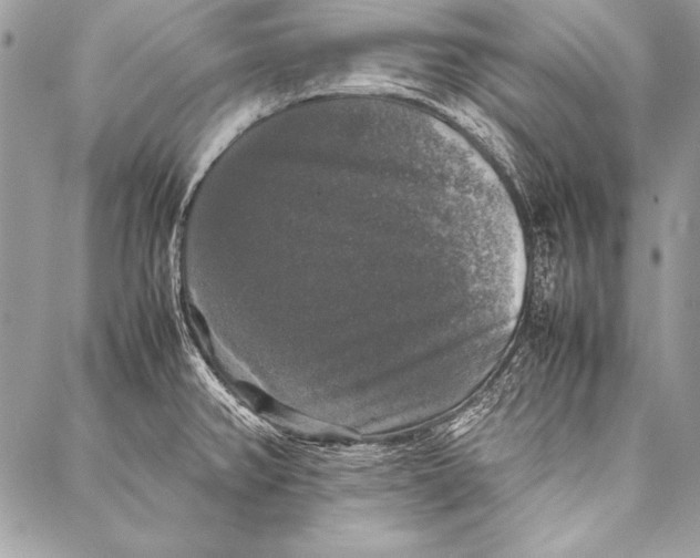 X0000087021382200705071459