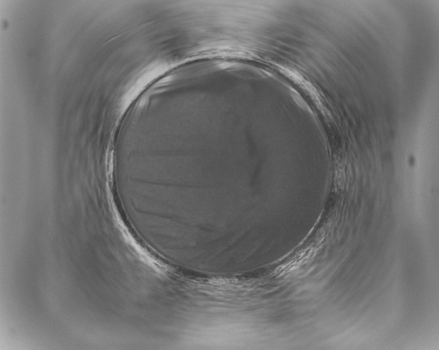 X0000087021383200705071459