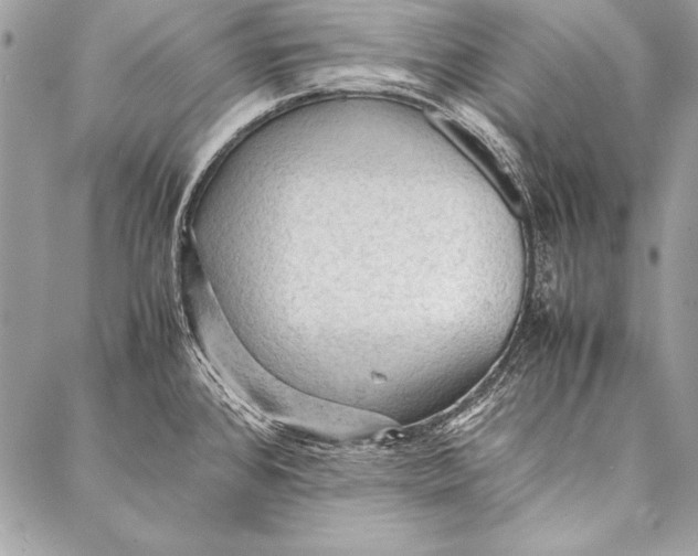 X0000087021384200705071459