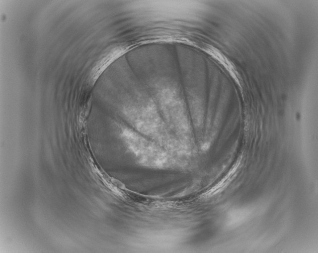 X0000087021385200705071459