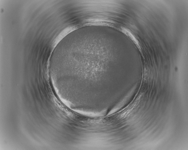 X0000087021386200705071459