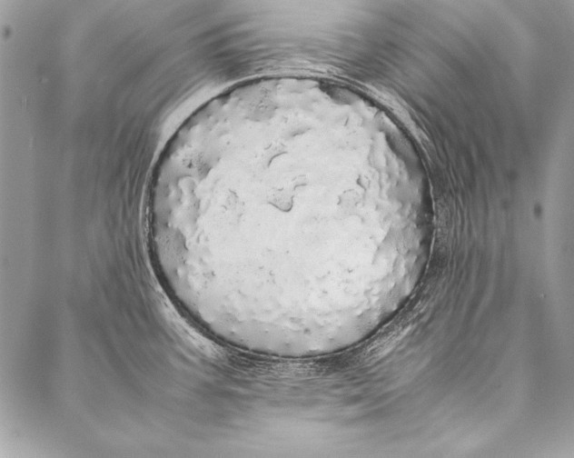 X0000087021387200705071459