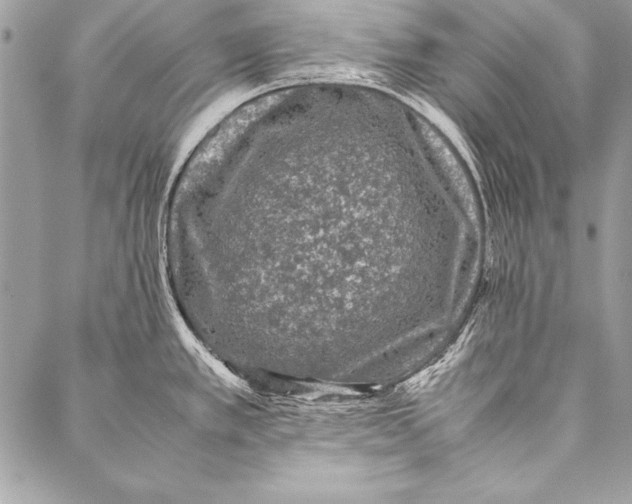 X0000087021389200705071459