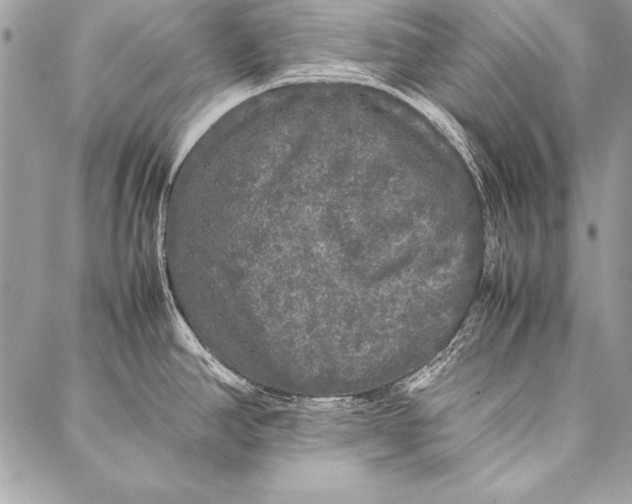 X0000087021390200705071459