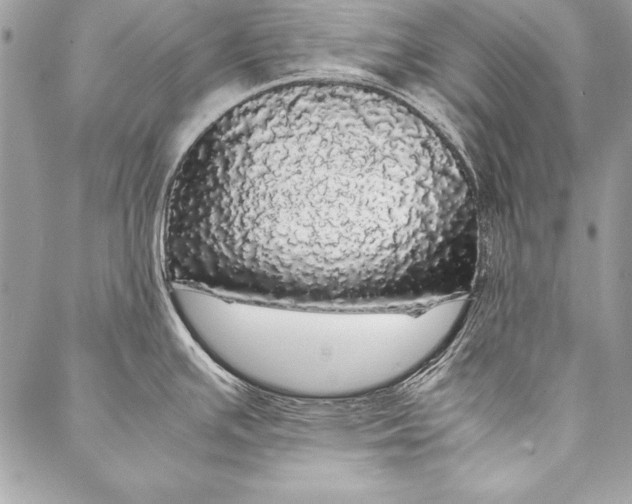 X0000087021391200705071459