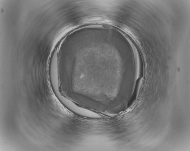 X0000087021392200705071459