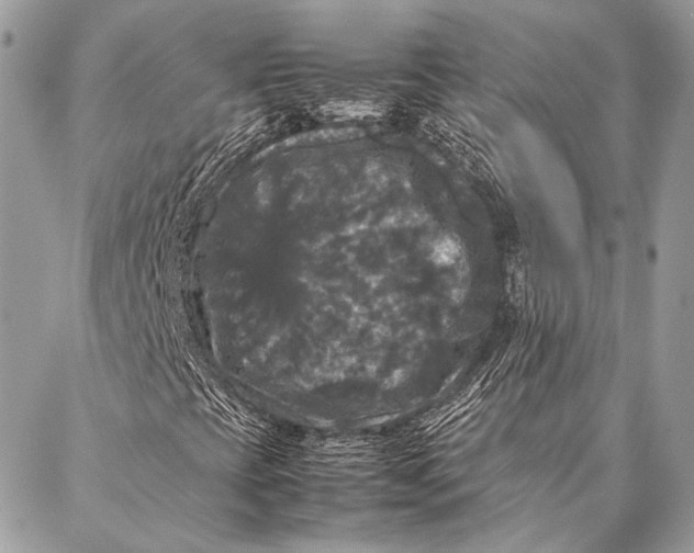 X0000087021393200705071458