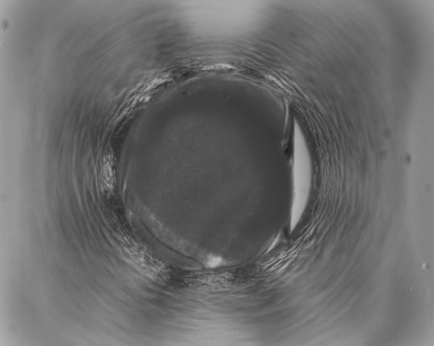 X0000087021394200705071458