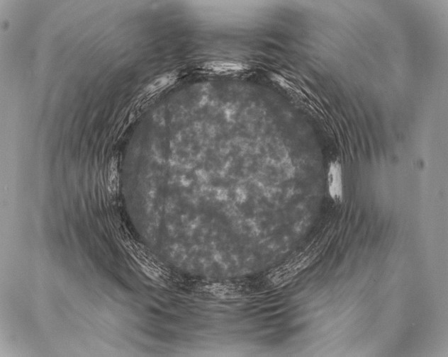 X0000087021395200705071458