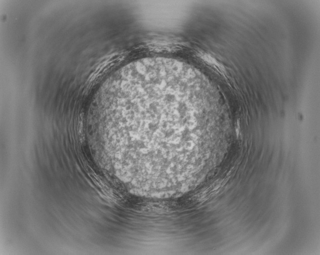 X0000087021396200705071458