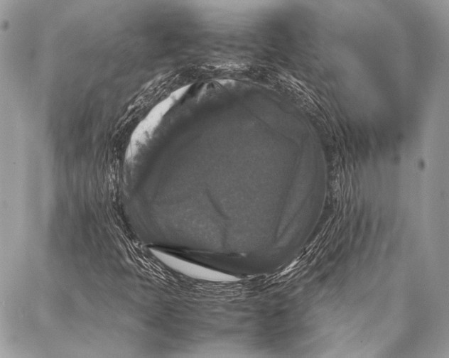 X0000087021397200705071458