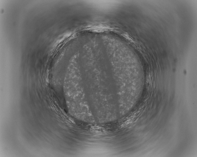 X0000087021398200705071458