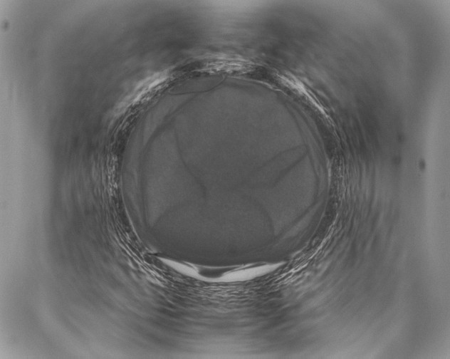 X0000087021399200705071458