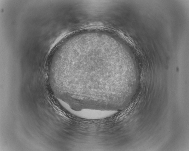 X0000087021400200705071458