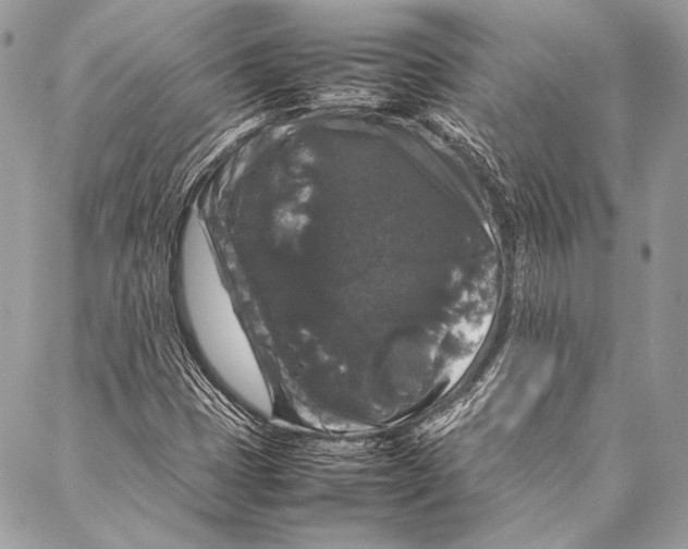 X0000087021401200705071458