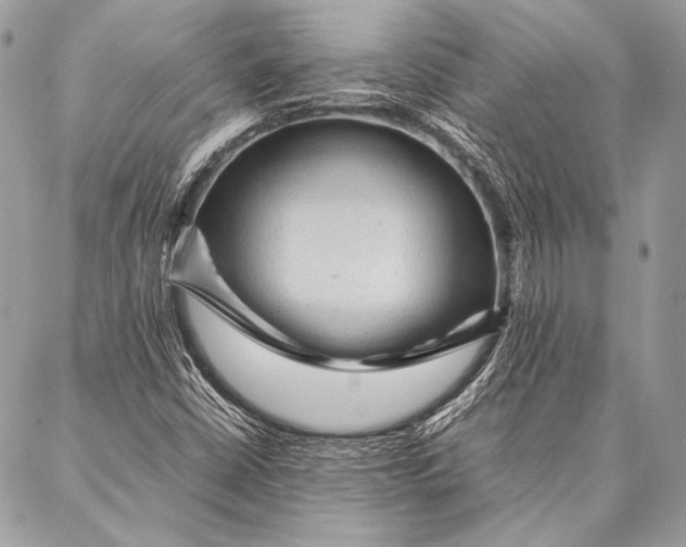 X0000087021402200705071458