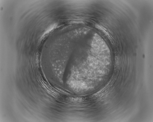 X0000087021403200705071458