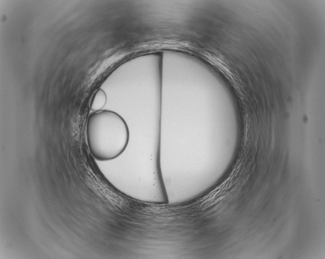 X0000087021404200705071458