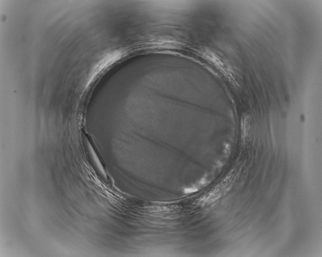 X0000087021405200705071458