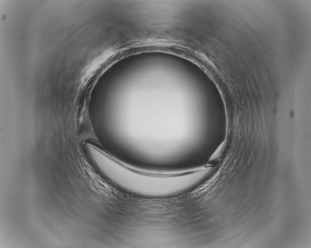 X0000087021406200705071458