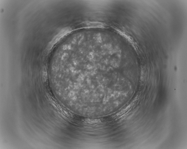 X0000087021407200705071458