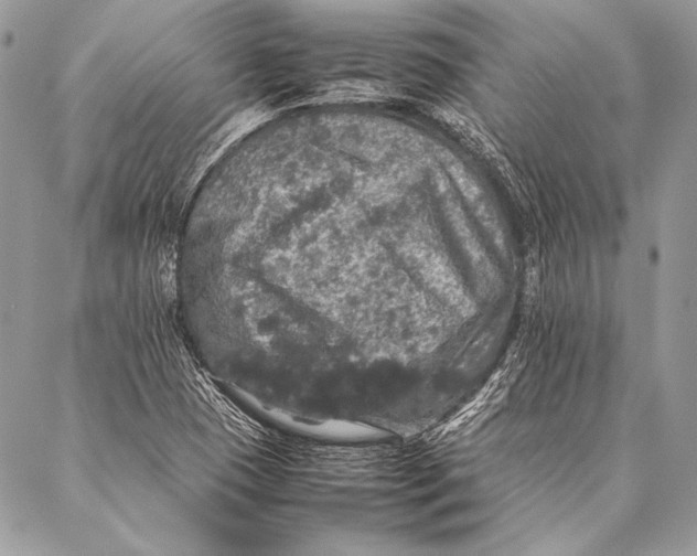 X0000087021409200705071458