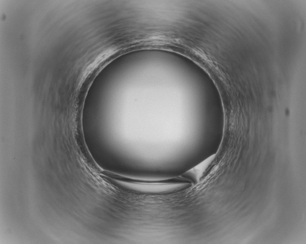 X0000087021410200705071458