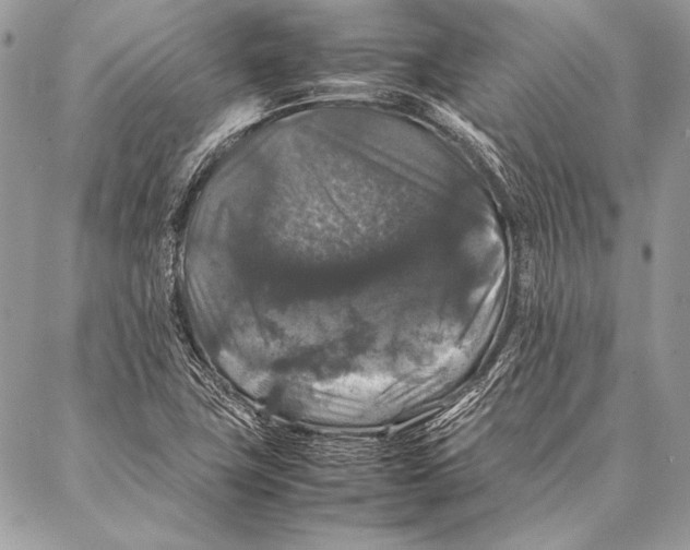 X0000087021411200705071458