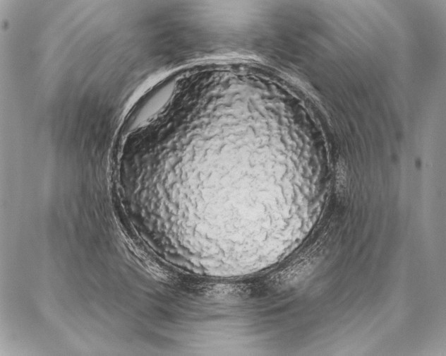 X0000087021412200705071458