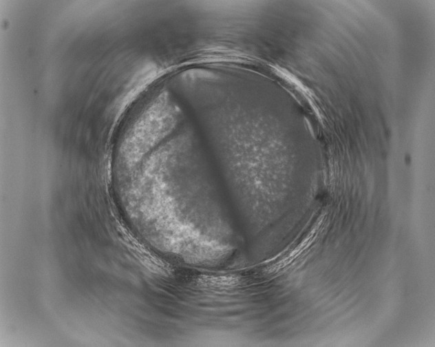 X0000087021415200705071458