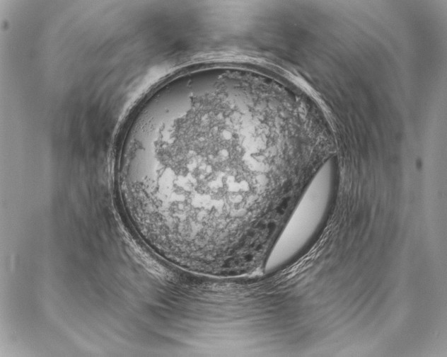 X0000087021416200705071458