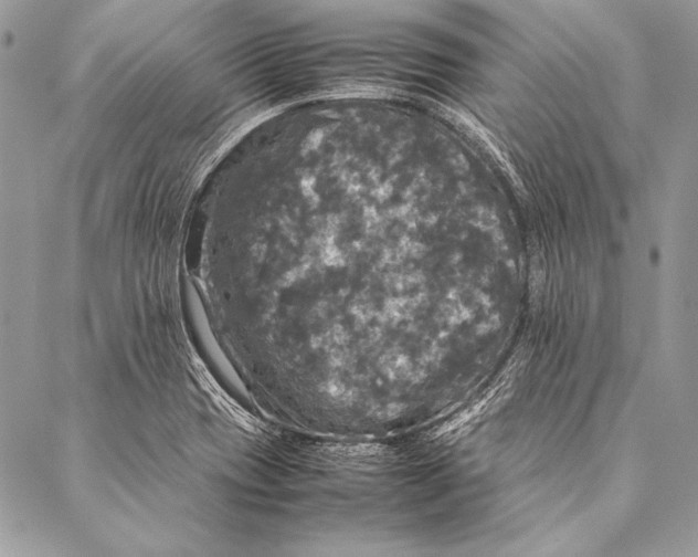 X0000087021417200705071458