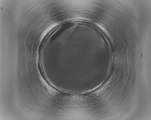 X0000087021418200705071458