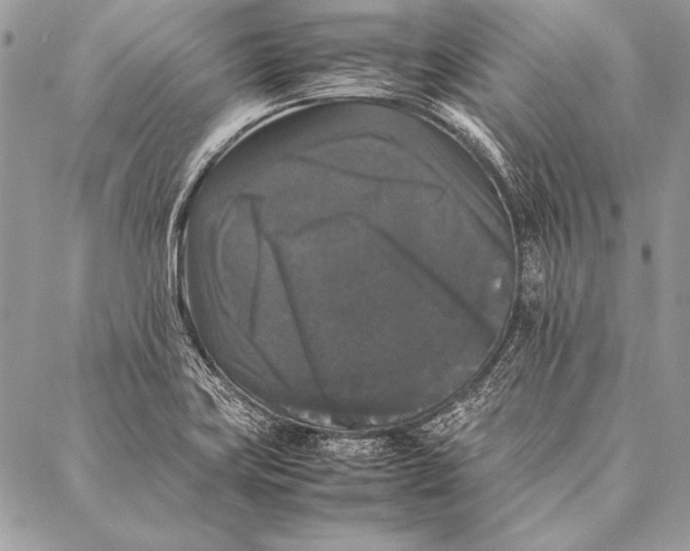 X0000087021419200705071458