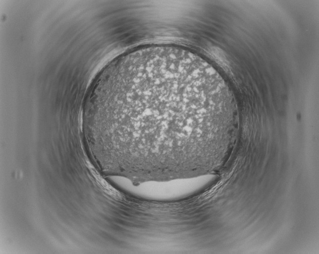 X0000087021420200705071458