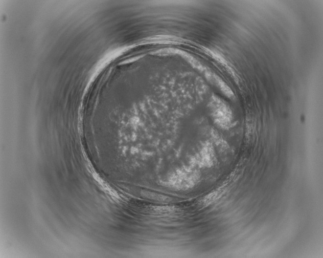 X0000087021421200705071458